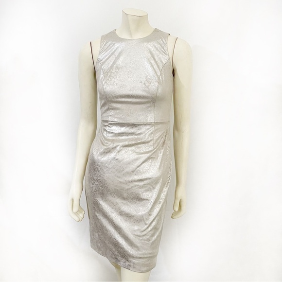 Ralph Lauren Metallic Sleeveless Fitted Dress Size 2P - Picture 1 of 8